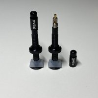 Tubeless Valves